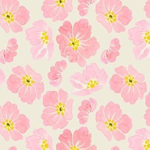 Meet your Posher, Reagan